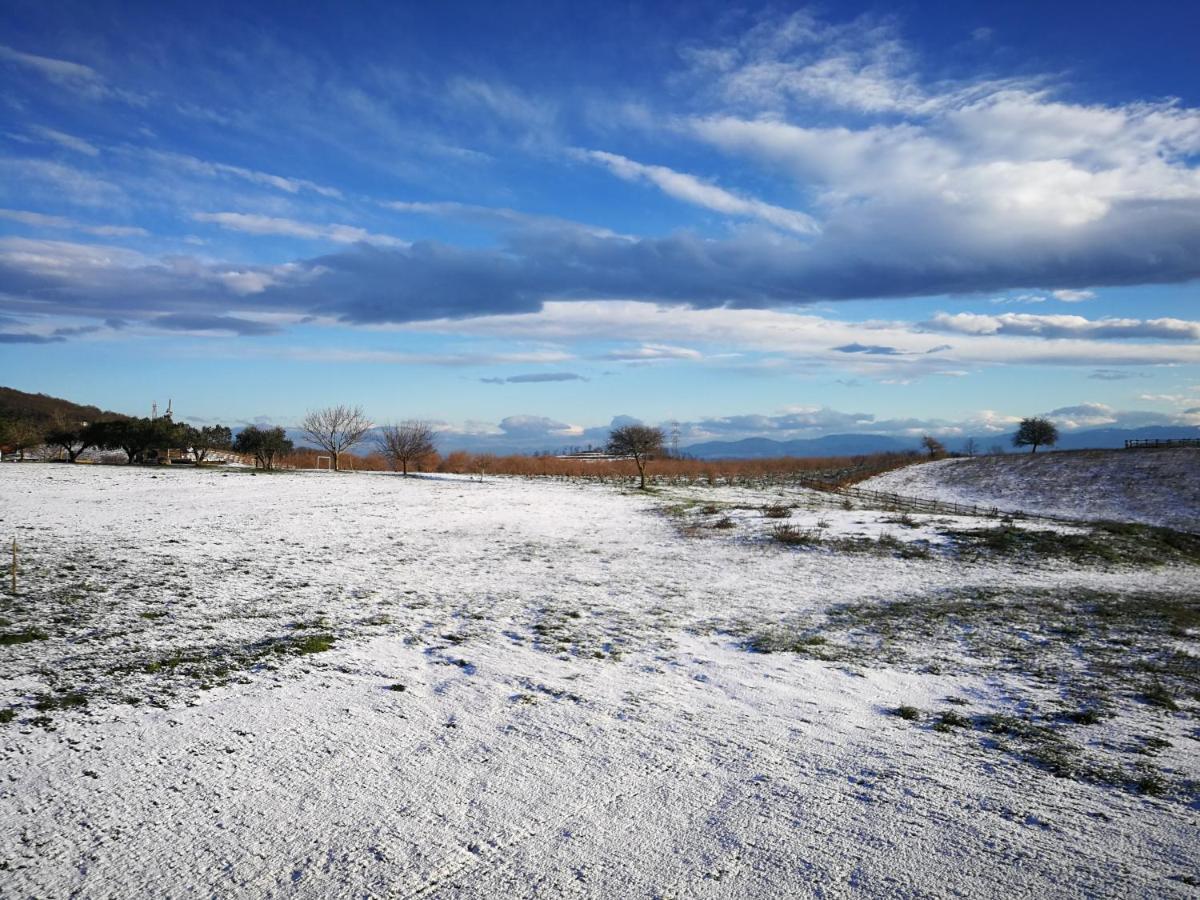 Agriturismo Casale Lisalola Hotel Sutri Luaran gambar