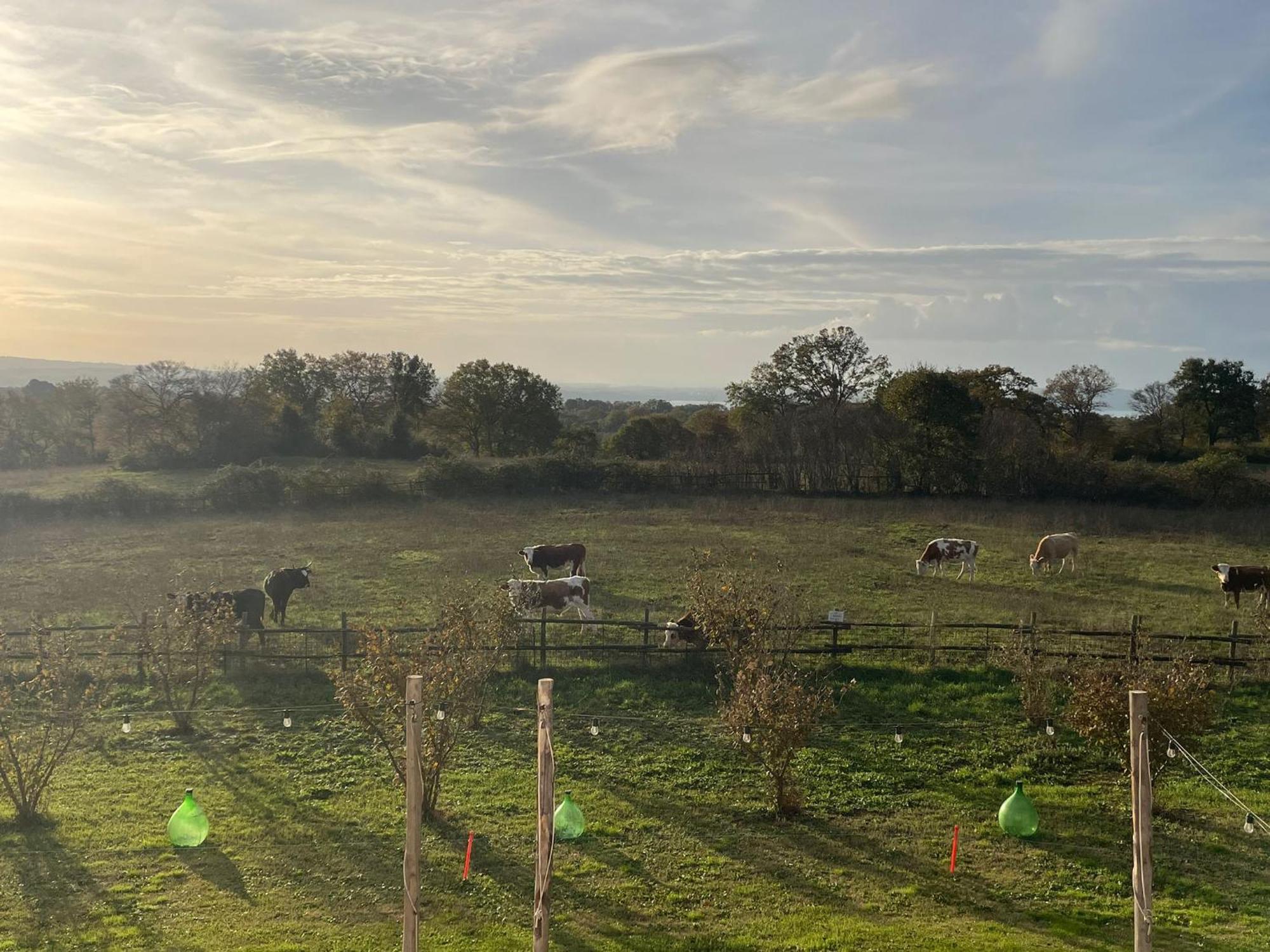 Agriturismo Casale Lisalola Hotel Sutri Luaran gambar