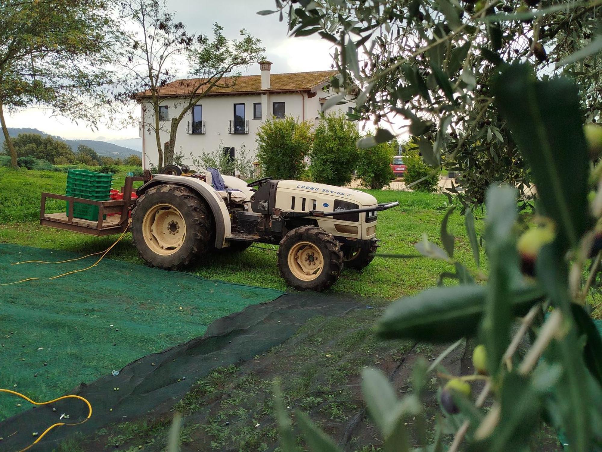 Agriturismo Casale Lisalola Hotel Sutri Luaran gambar