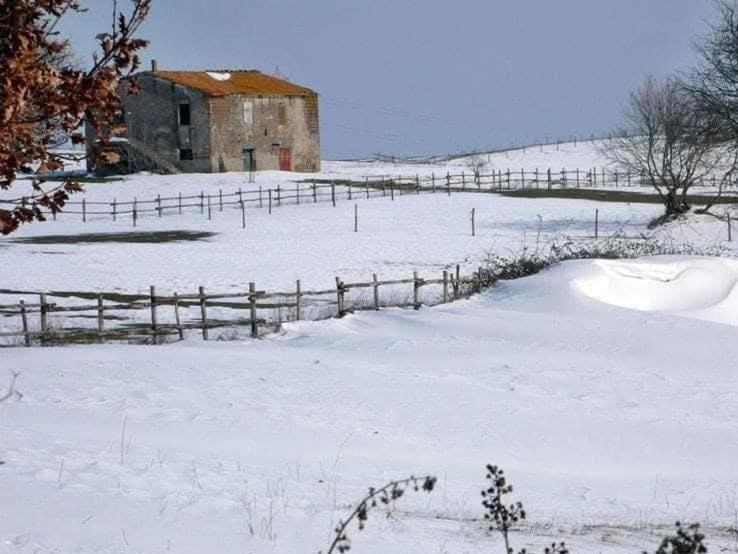 Agriturismo Casale Lisalola Hotel Sutri Luaran gambar